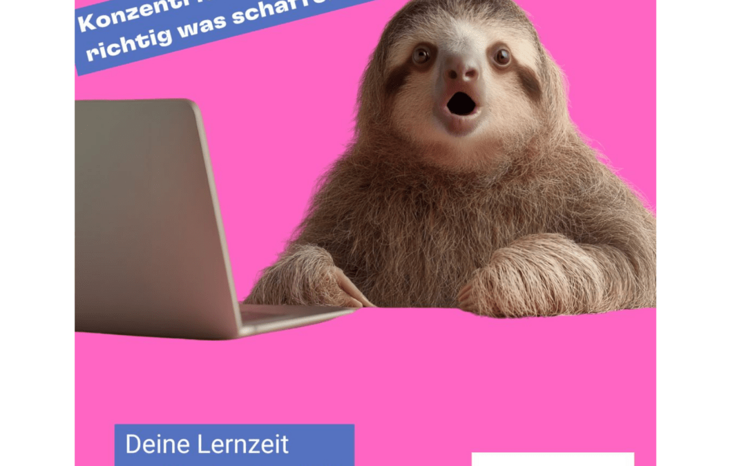 Study in:spirit im Frühjahr 2026